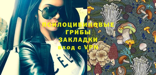 крисы Абдулино