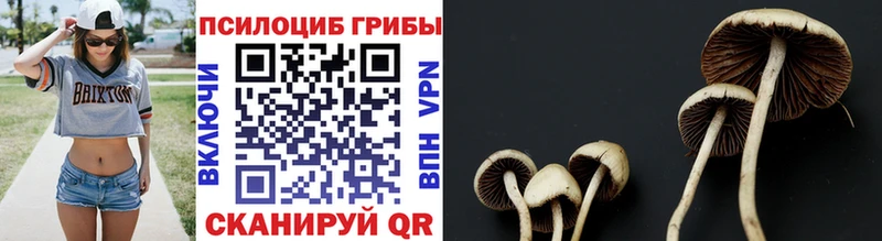 Галлюциногенные грибы Magic Shrooms  продажа наркотиков  Азнакаево 